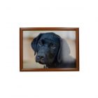 Creative Tops Black Labrador Lap Tray