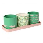 Scion Mr Fox Herb Pots Set - Mint Leaf