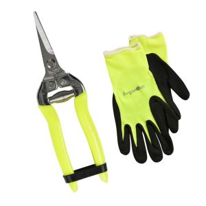 Burgon & Ball FloraBrite Yellow - Gardening Gloves & Flower Snip Set